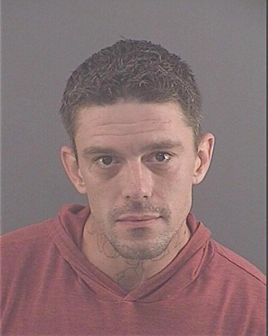 MADSEN, STEVEN DAVID - Peoria County, IL