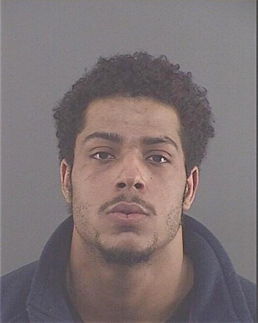 HOSKINS, DOMINIQUE D - Peoria County, IL