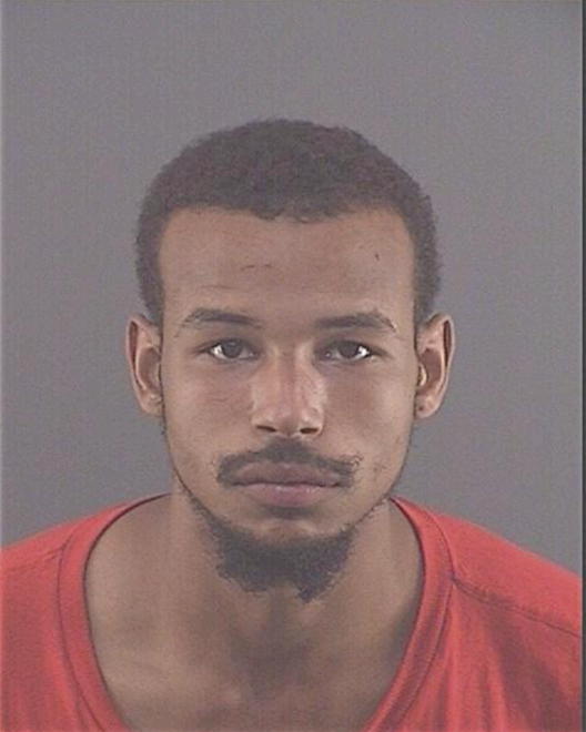 POLNITZ, NATHANIEL H - Peoria County, IL