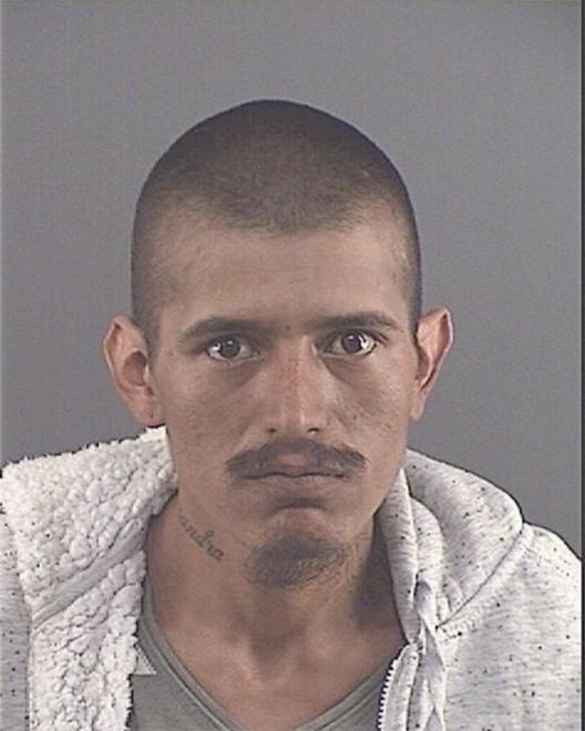 TORRES, CARLOS H - Peoria County, IL