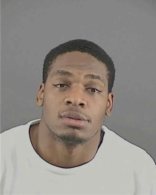 BRADLEY, TERRENCE MATTHEW - Peoria County, IL