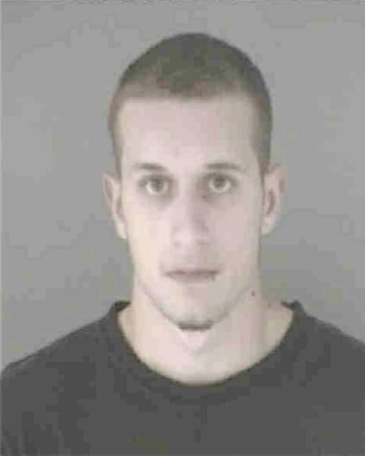 PRICE, MICHAEL PAUL - Peoria County, IL