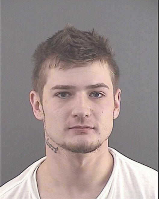 VICARY, ROBERT LEE - Peoria County, IL