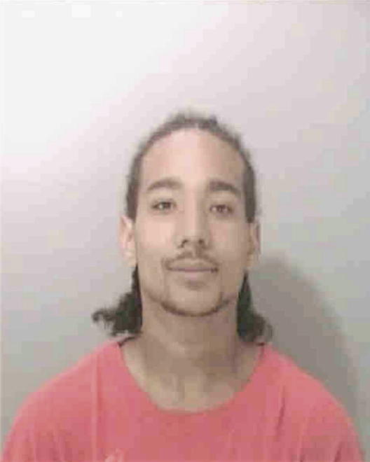 HUMBLES, JOSHUA WILLIAM - Peoria County, IL
