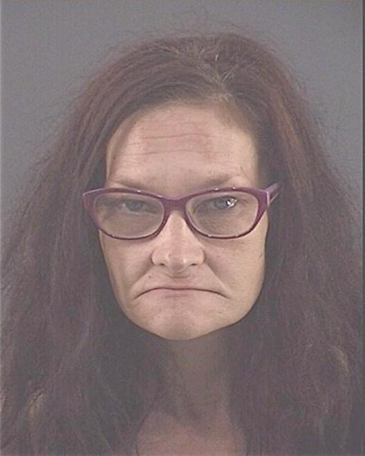ANDERSON, BROOK LYNETTE - Peoria County, IL