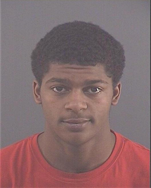 BROWN, RYAN K - Peoria County, IL