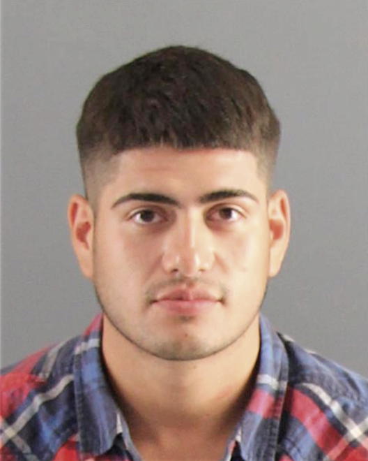 ORTEGA, LUIS F - Peoria County, IL