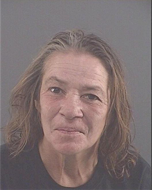 HYDE, LISA ANN - Peoria County, IL