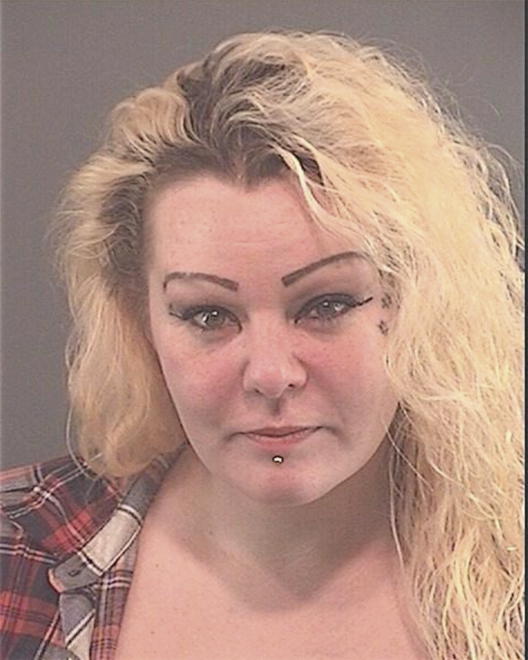 GOSSAGE, LISA NICOLE - Peoria County, IL