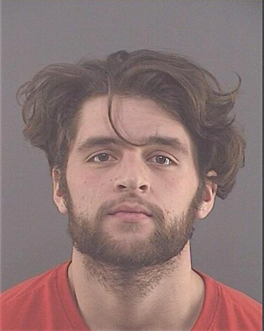 MITZELFELT, ADAM C - Peoria County, IL