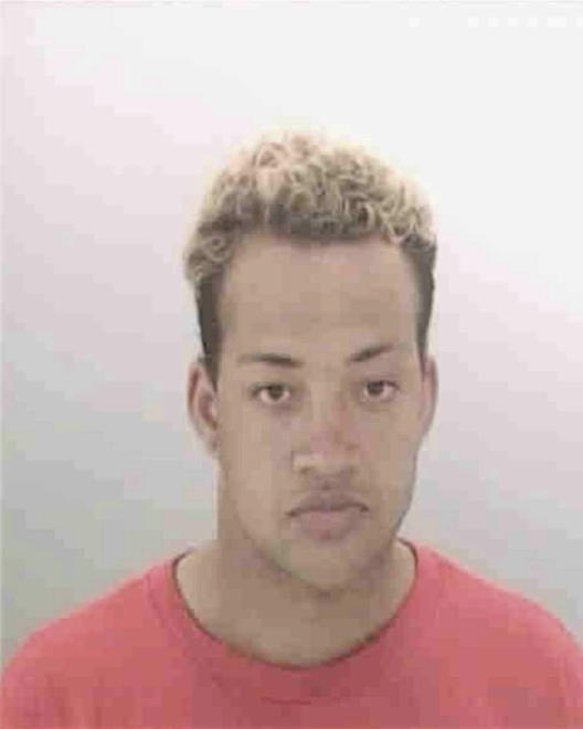 COLLINS, JAMES CHRISTOPHER - Peoria County, IL
