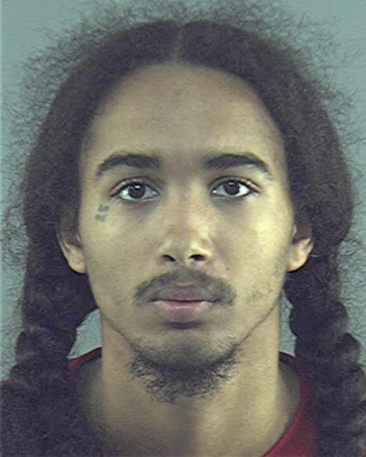 HAYES, SHAWON MONTEL - Peoria County, IL