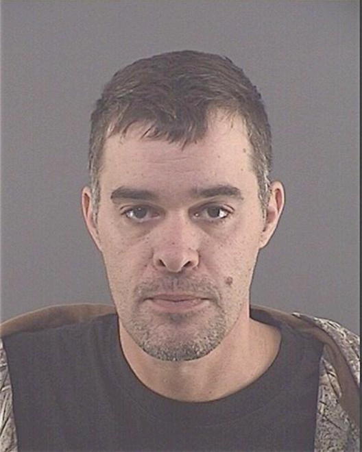 HRDLICKA, WILLIAM J - Peoria County, IL