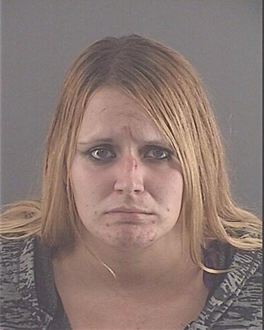 HUTCHINSON, NICOLE L - Peoria County, IL