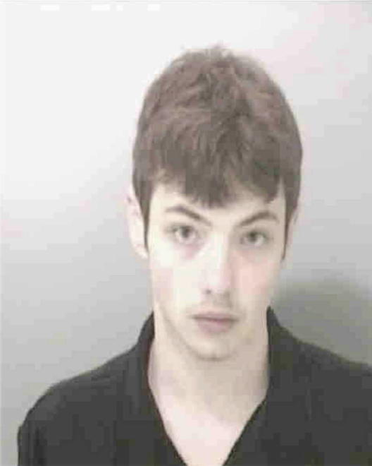 BEINTEMA, ZACHARY DAVID - Peoria County, IL