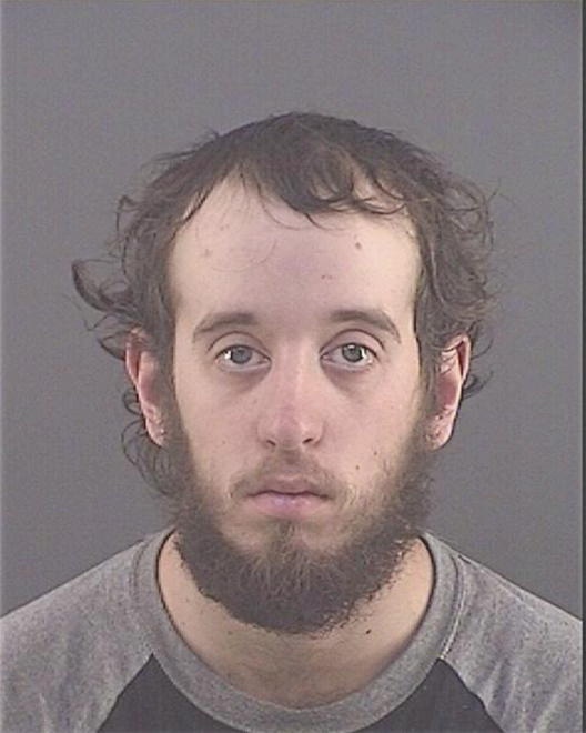 DOANE, LEVI R - Peoria County, IL