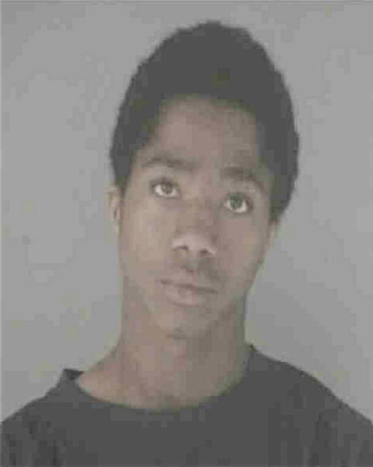 JOHNSON, ANDRE DWAYNE - Peoria County, IL