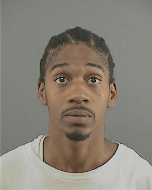 PURHAM, NATHAN T - Peoria County, IL