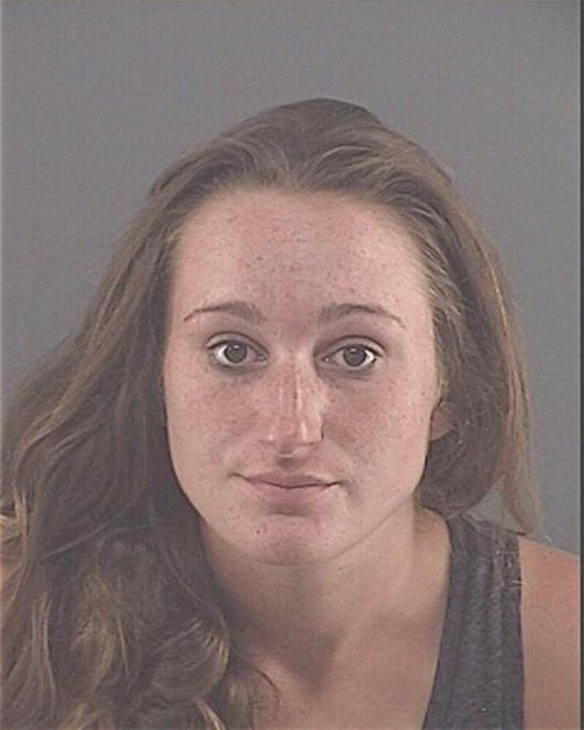 SMITH, DARCY ANNE - Peoria County, IL