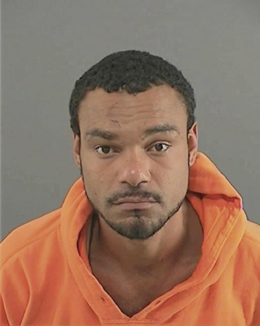 HAYES, JOSHUA ANDREW - Peoria County, IL
