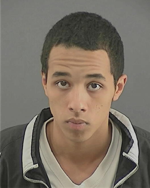 HOLEMAN, JASON M - Peoria County, IL