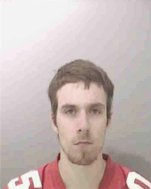 PEDROZA, BRIAN ANTHONY - Peoria County, IL