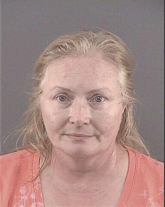 SKALNIK, LISA ANN - Peoria County, IL