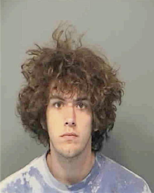 DWYER, NICHOLAS SHANE - Peoria County, IL