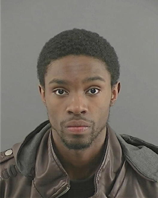 YOUNG, REGINALD WENDELL - Peoria County, IL