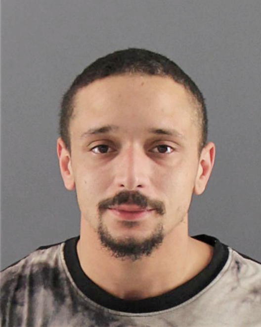 MAPLE, LUDUANE D - Peoria County, IL