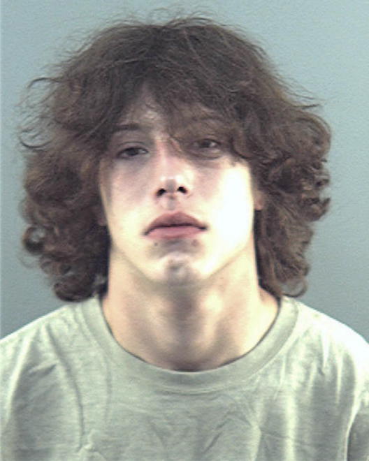BURY, JESSE LOGAN - Peoria County, IL