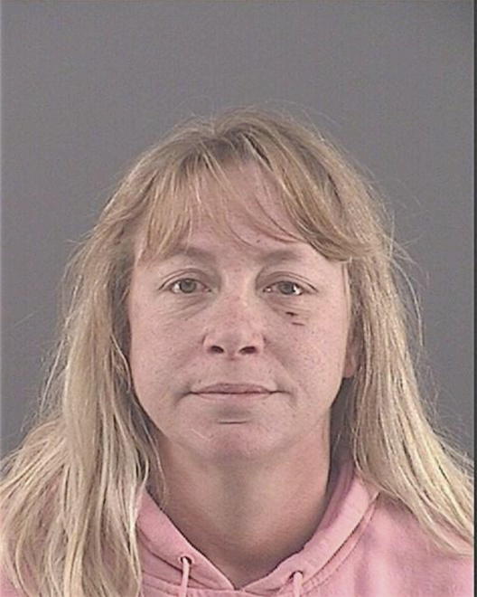 LEE, DENISE MARIE - Peoria County, IL