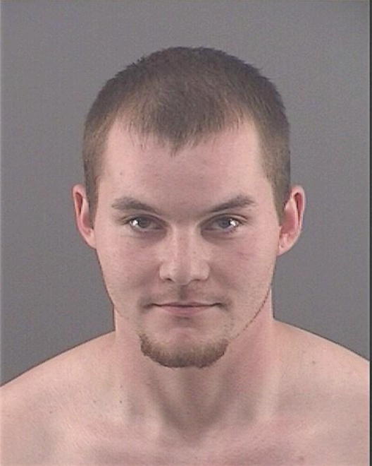 WORKMAN, DAKOTA J - Peoria County, IL