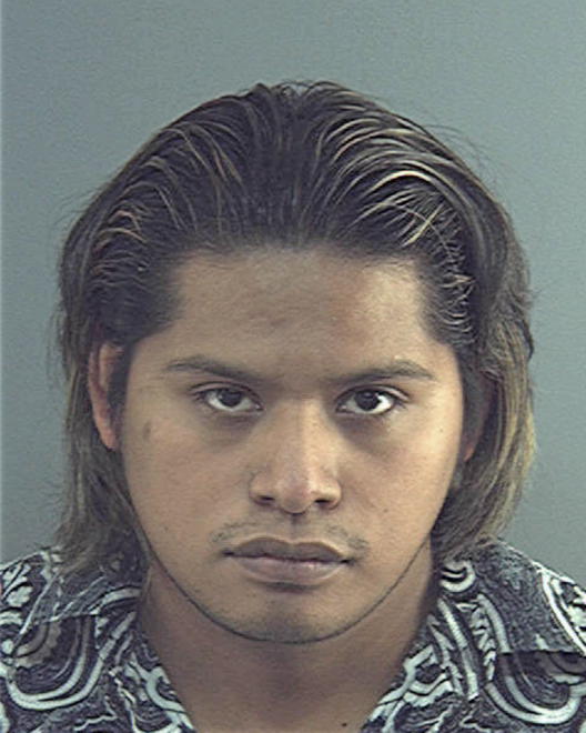 TEPOZ, FELIPE CARLOS - Peoria County, IL