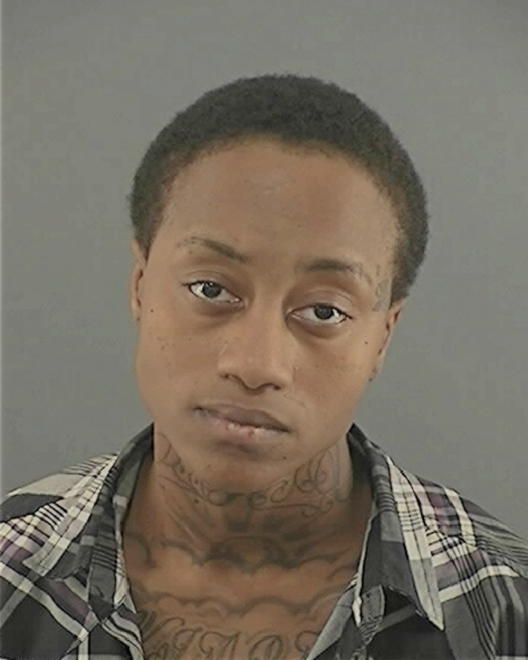 CHAPPELL, AMBER TERESA - Peoria County, IL