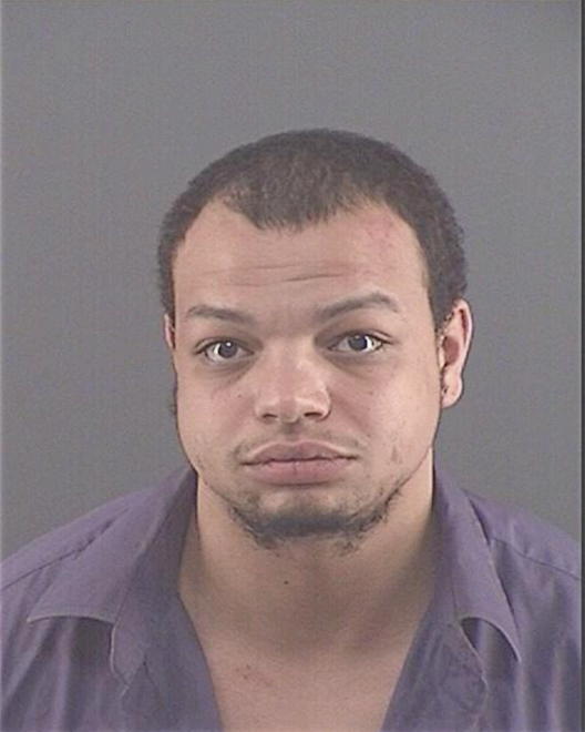 MATA, MICHAEL ANTHONY - Peoria County, IL