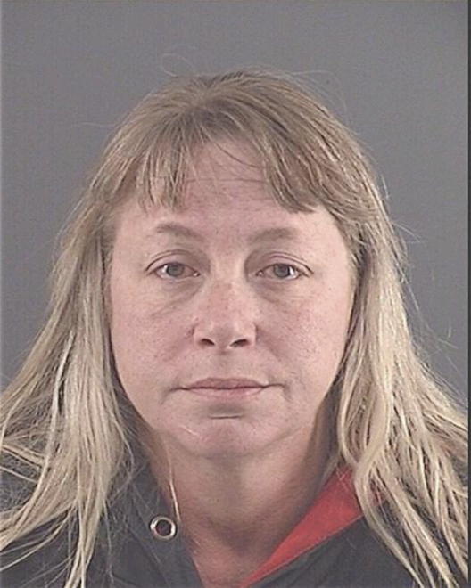 LEE, DENISE MARIE - Peoria County, IL