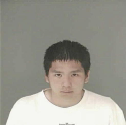 TRAN, DAVID NMI - Peoria County, IL