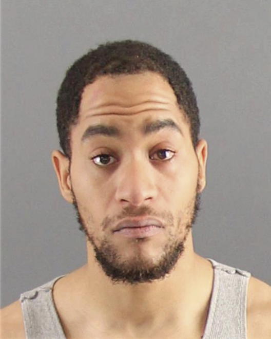 BURROWS, TERRENCE NATHAN - Peoria County, IL