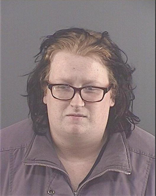 WALLIS, MICHELLE L - Peoria County, IL
