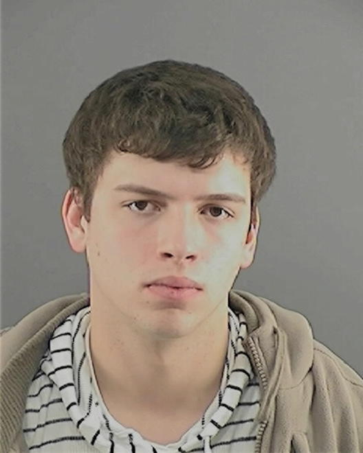 FINKS, BRYAN D - Peoria County, IL