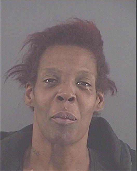 HOLLINS, CAROLYN MARIE - Peoria County, IL