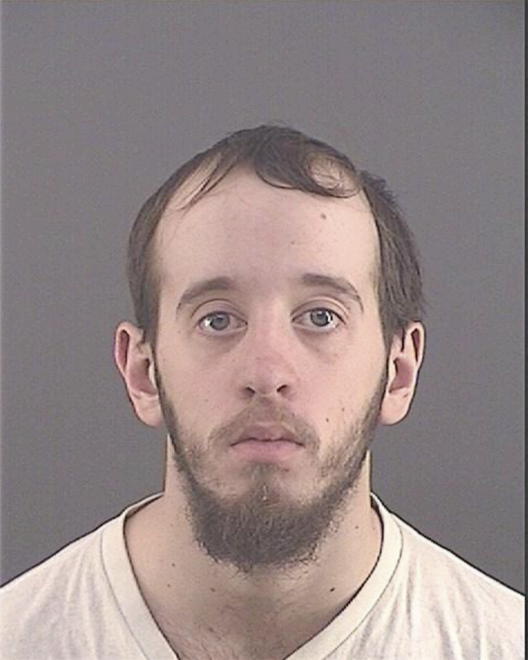 DOANE, LEVI R - Peoria County, IL
