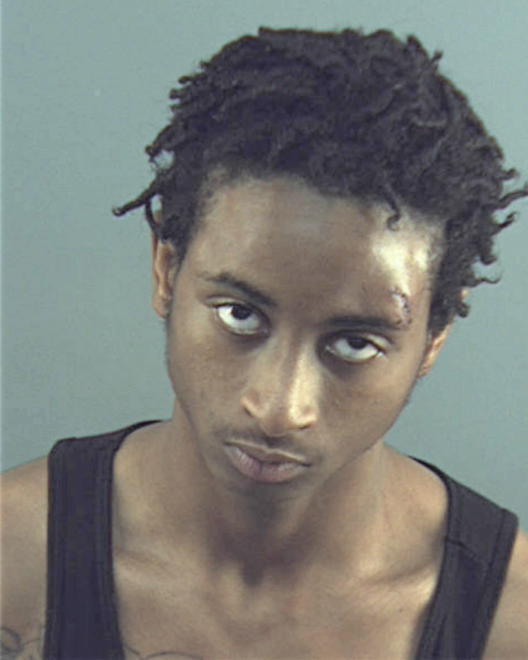 WILLIAMS, DEANDRE L - Peoria County, IL