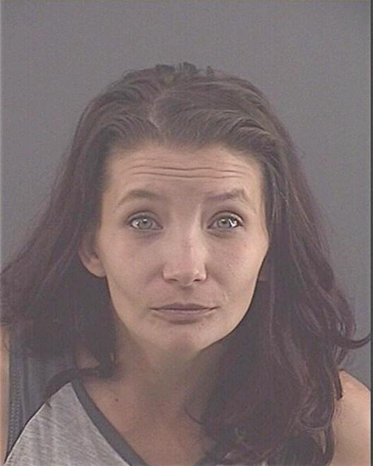 BURNETT, COURTNEY LYN - Peoria County, IL