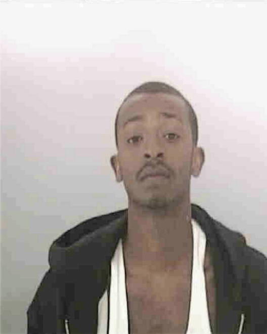 LEWIS, CHARLES ARESA - Peoria County, IL