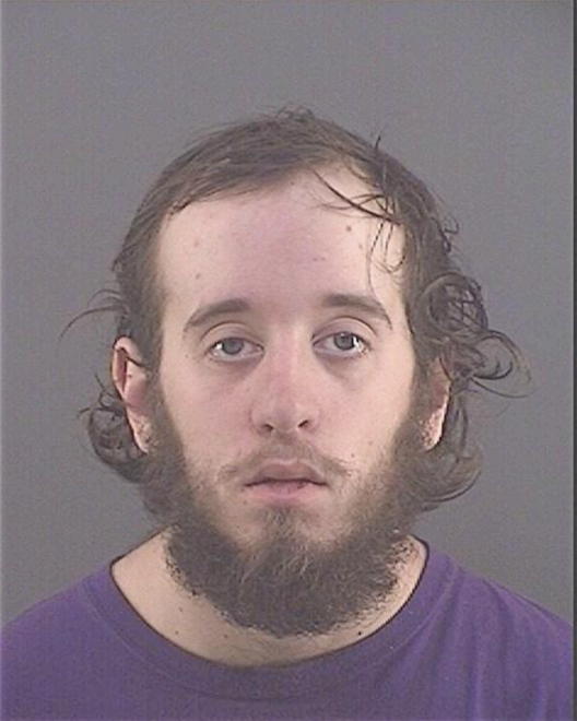 DOANE, LEVI R - Peoria County, IL