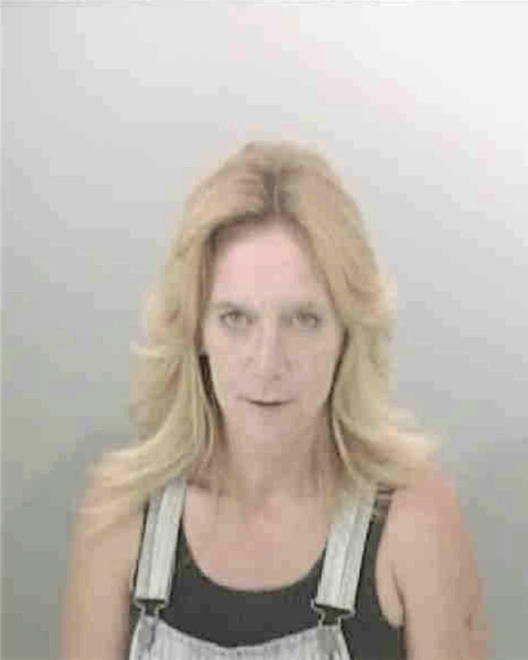 NELTNER, SANDY JOY - Peoria County, IL