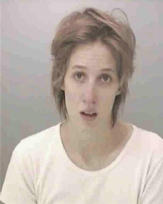 FRYE, JAMIE LEANN - Peoria County, IL