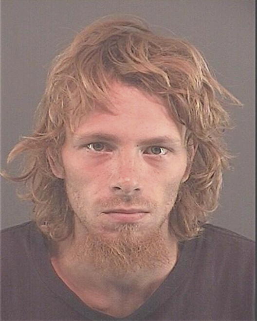 GREENWAY, TYLOR D - Peoria County, IL